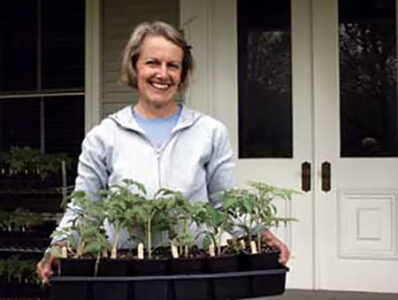 Grow and Sell Heirloom Tomatoes Image